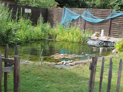 Die Formellas Bad Bodenteich Tiere